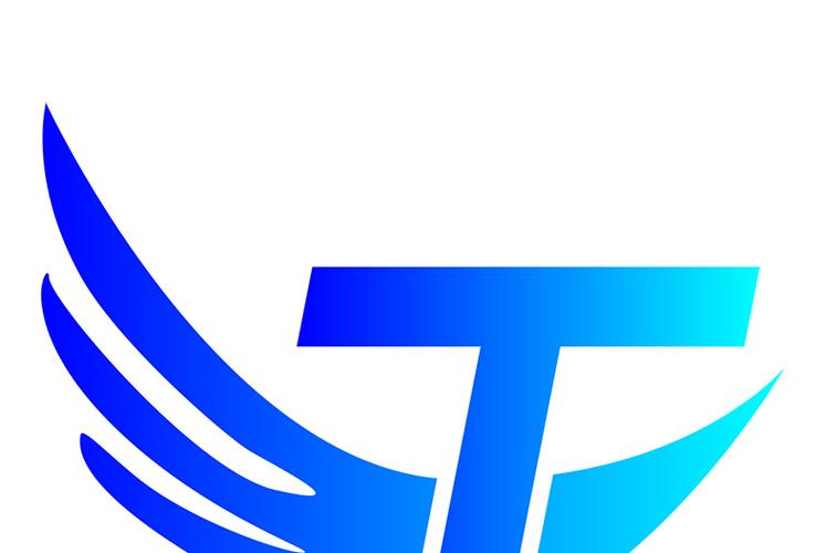 数字浪潮中的轻骑兵 武汉天启速推网络科技有限公司的网络技术服务之道